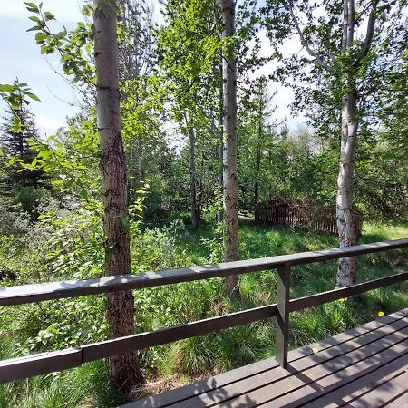 Bakkakot 3 Cozy Cabin In The Woods Ακουρέιρι Εξωτερικό φωτογραφία
