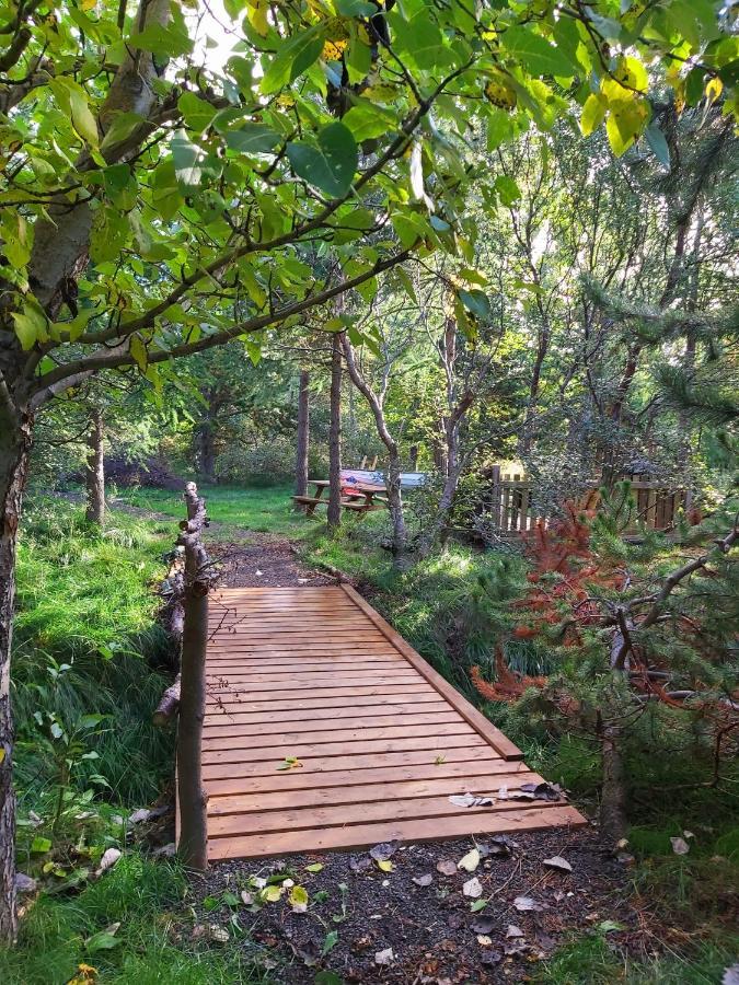 Bakkakot 3 Cozy Cabin In The Woods Ακουρέιρι Εξωτερικό φωτογραφία
