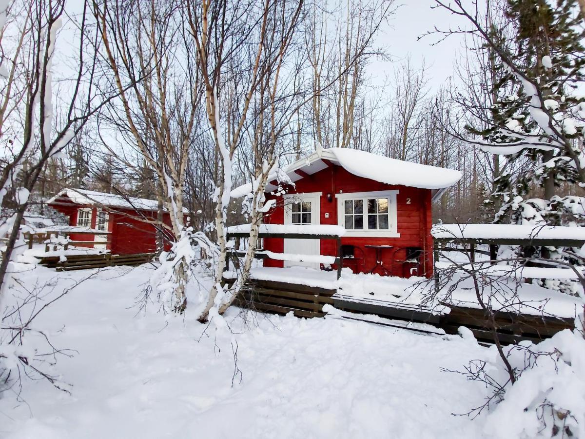 Bakkakot 3 Cozy Cabin In The Woods Ακουρέιρι Εξωτερικό φωτογραφία