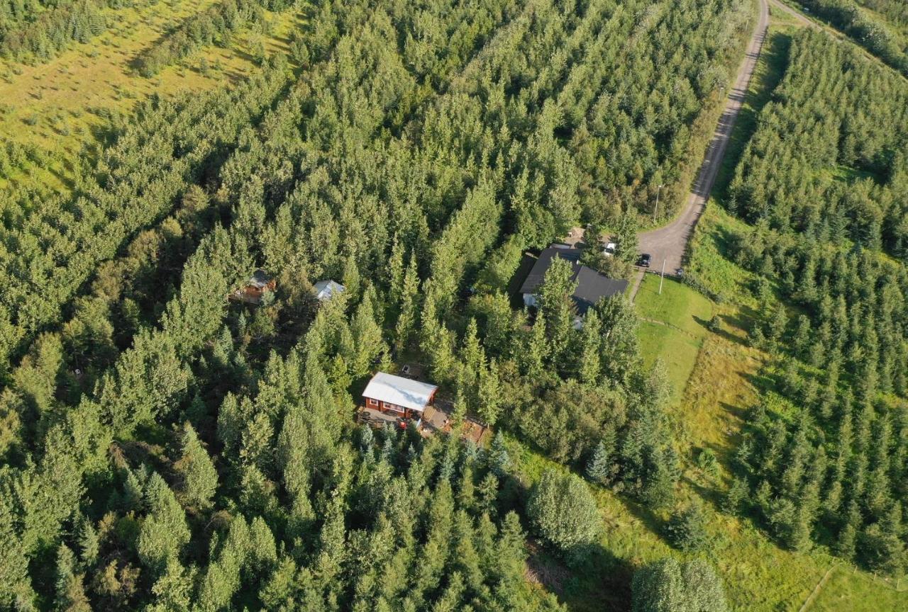 Bakkakot 3 Cozy Cabin In The Woods Ακουρέιρι Εξωτερικό φωτογραφία