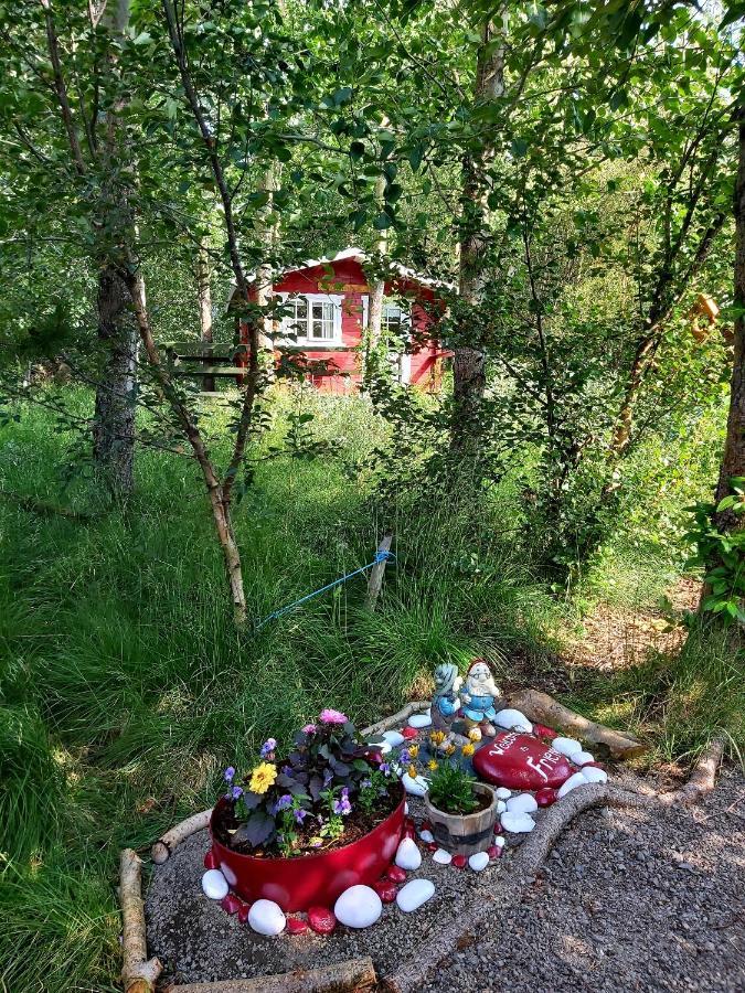 Bakkakot 3 Cozy Cabin In The Woods Ακουρέιρι Εξωτερικό φωτογραφία