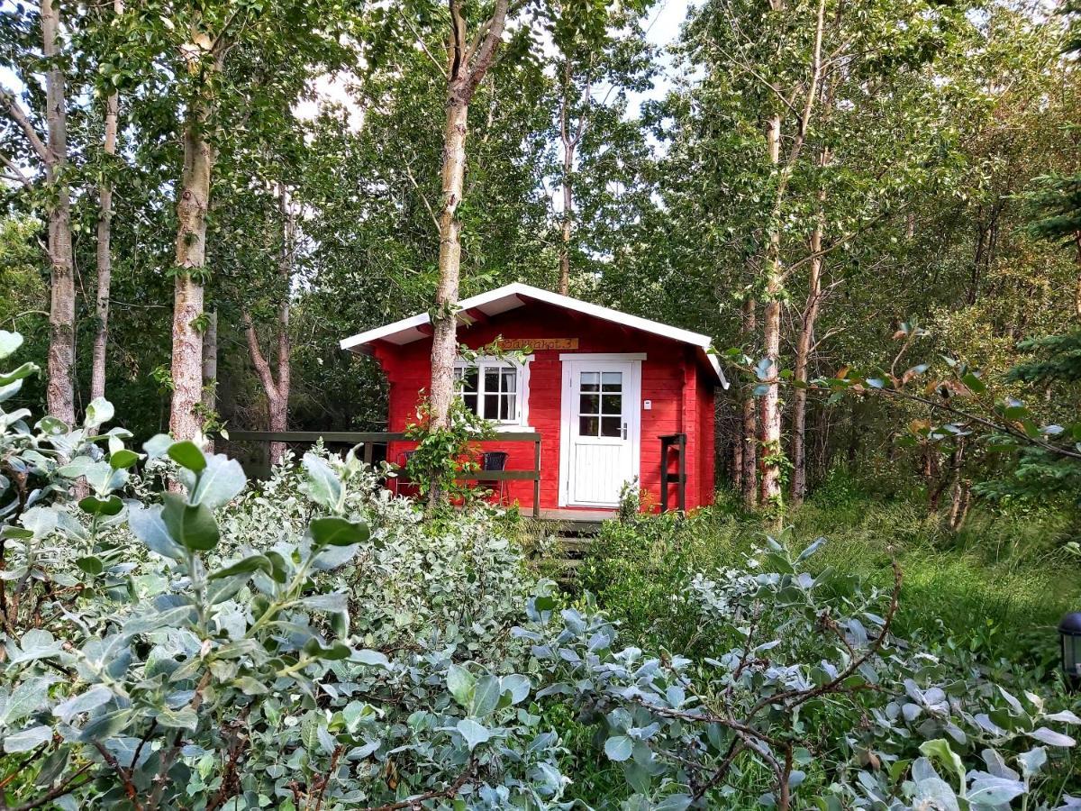 Bakkakot 3 Cozy Cabin In The Woods Ακουρέιρι Εξωτερικό φωτογραφία