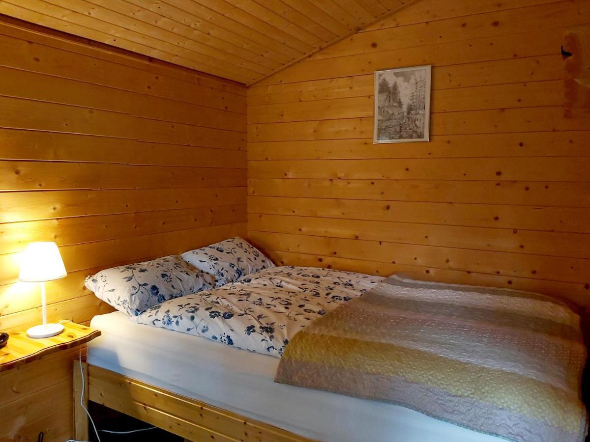 Bakkakot 3 Cozy Cabin In The Woods Ακουρέιρι Εξωτερικό φωτογραφία