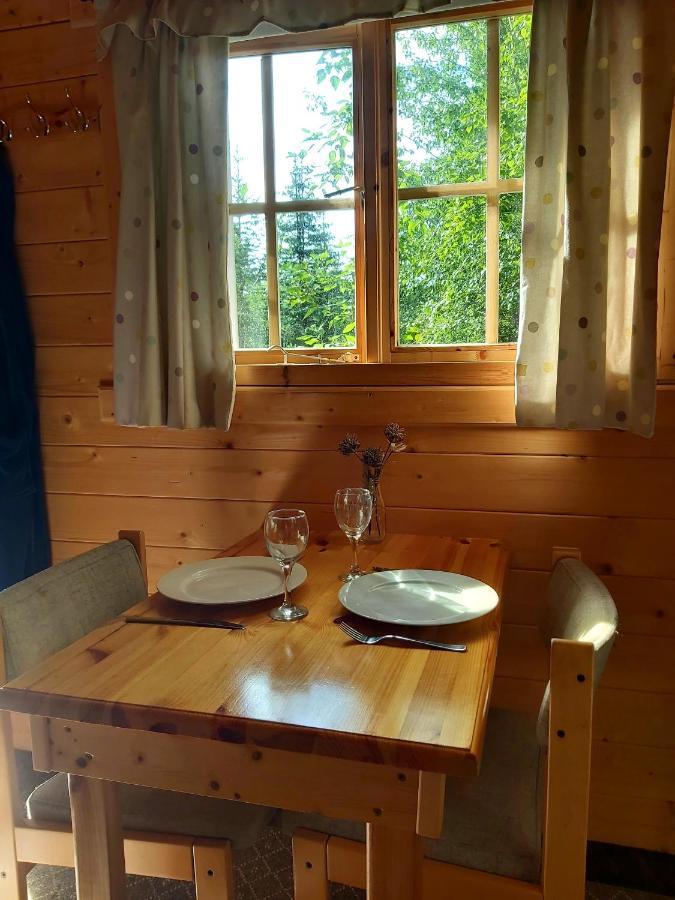 Bakkakot 3 Cozy Cabin In The Woods Ακουρέιρι Εξωτερικό φωτογραφία