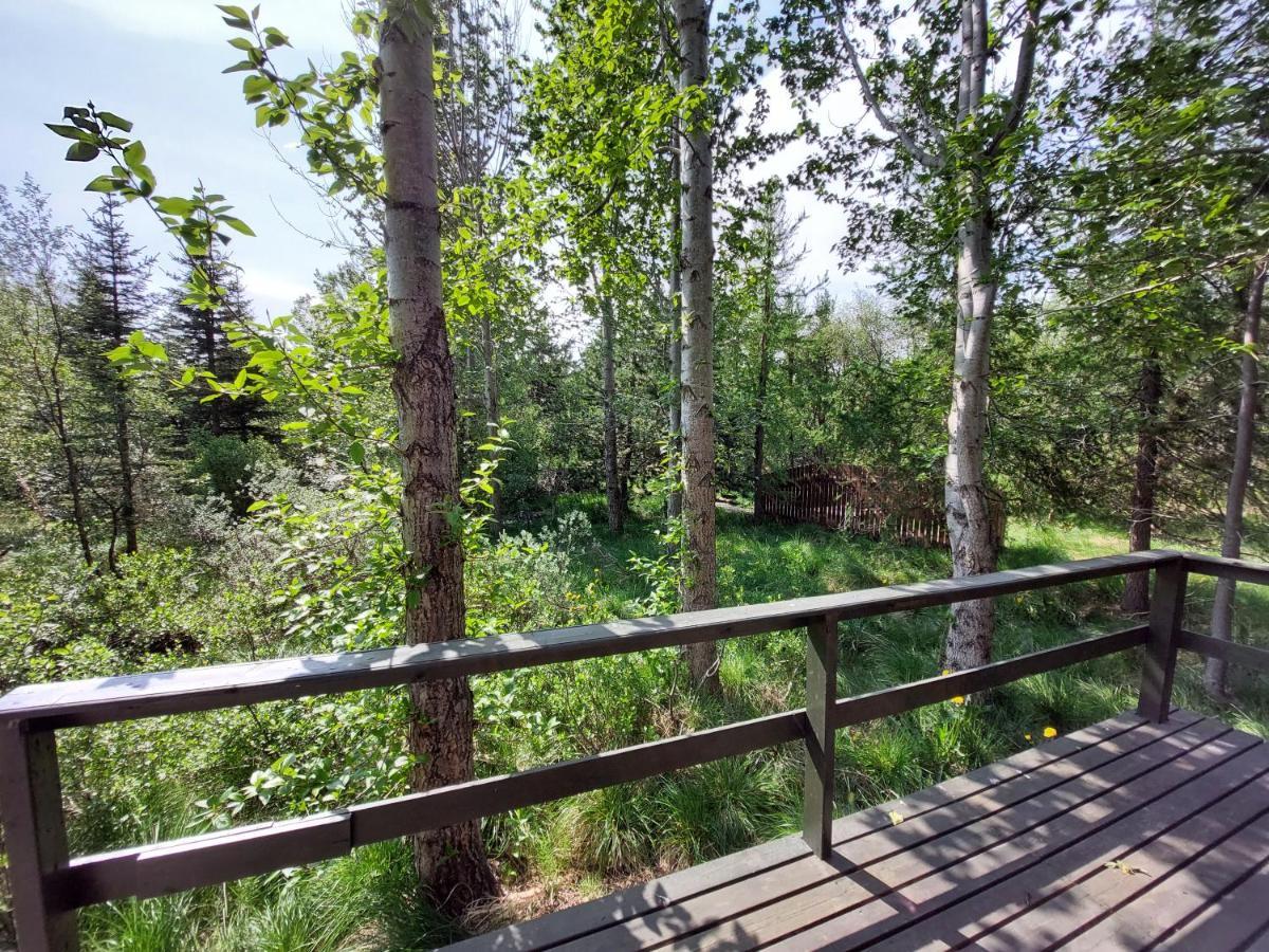 Bakkakot 3 Cozy Cabin In The Woods Ακουρέιρι Εξωτερικό φωτογραφία